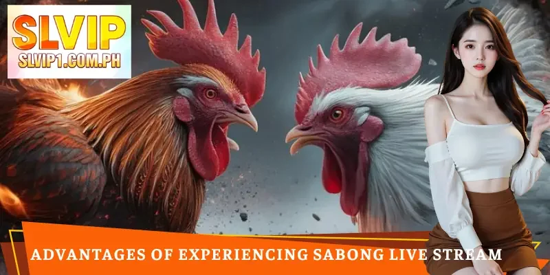 sabong-live-stream-advantages