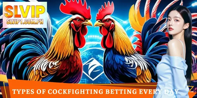 sabong-live-stream-type