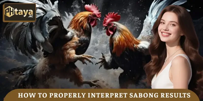 sabong-results-how-to-properly