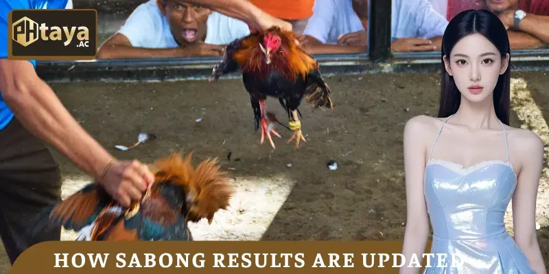 sabong-results-how-to-update
